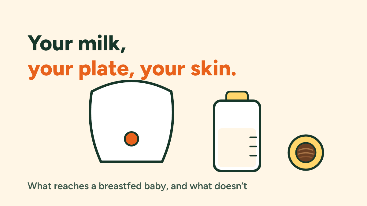 Coconut allergy and breastfeeding: your milk, your plate and your skin