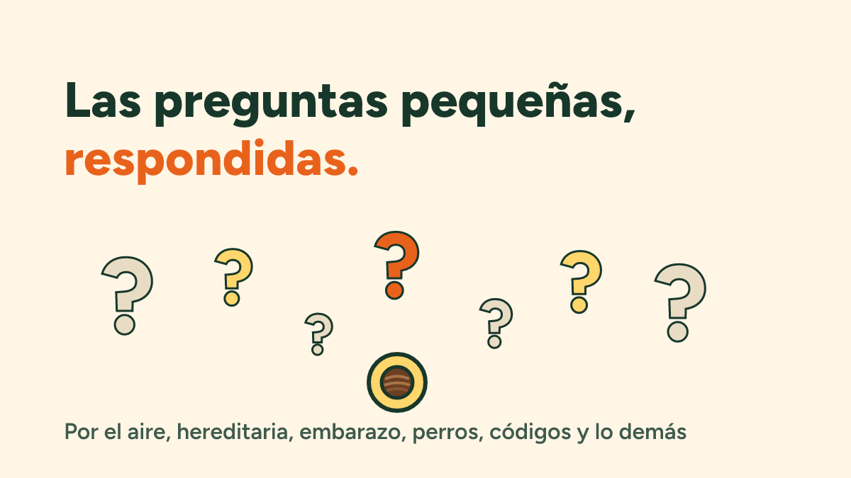 Preguntas frecuentes sobre la alergia al coco: por el aire, hereditaria, embarazo, perros, el código CIE-10 y otras dudas pequeñas