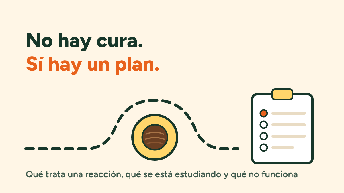 Tratamiento de la alergia al coco: qué existe, qué se está estudiando y qué no funciona