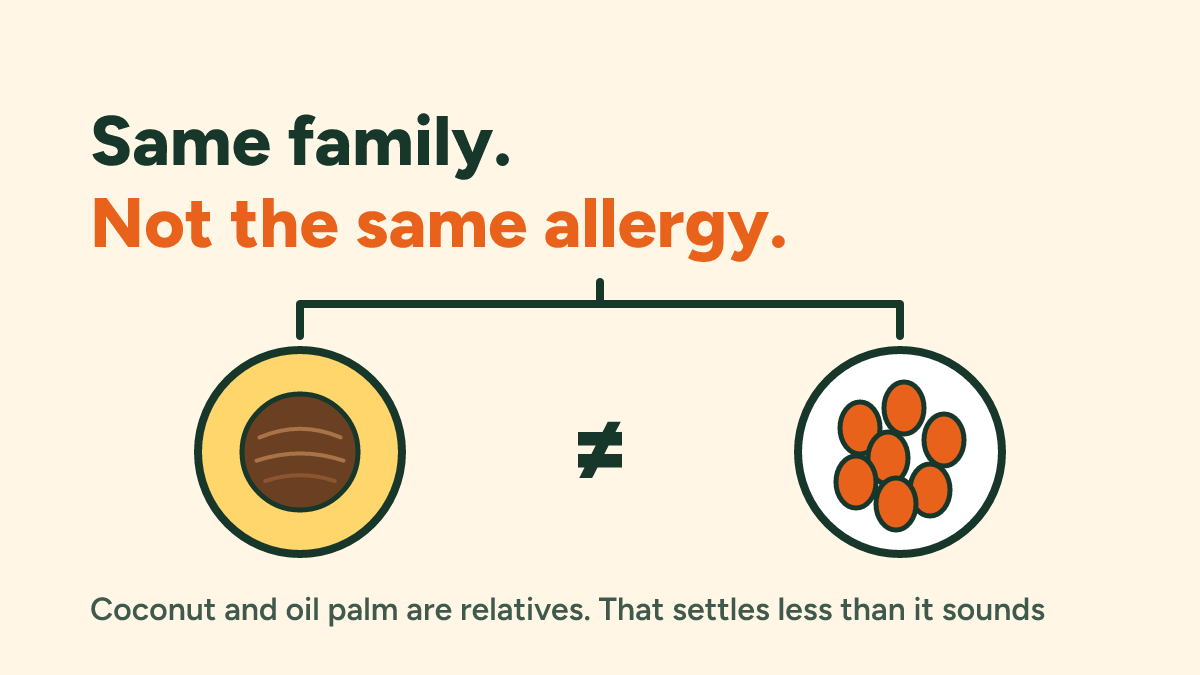 Coconut allergy and palm oil: are they related, and do you need to avoid both?