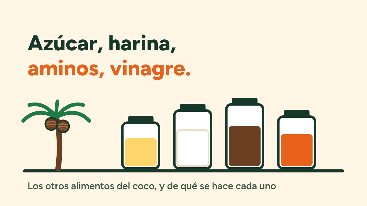 Azúcar de coco, harina de coco, aminos de coco y vinagre de coco: ¿son un problema?
