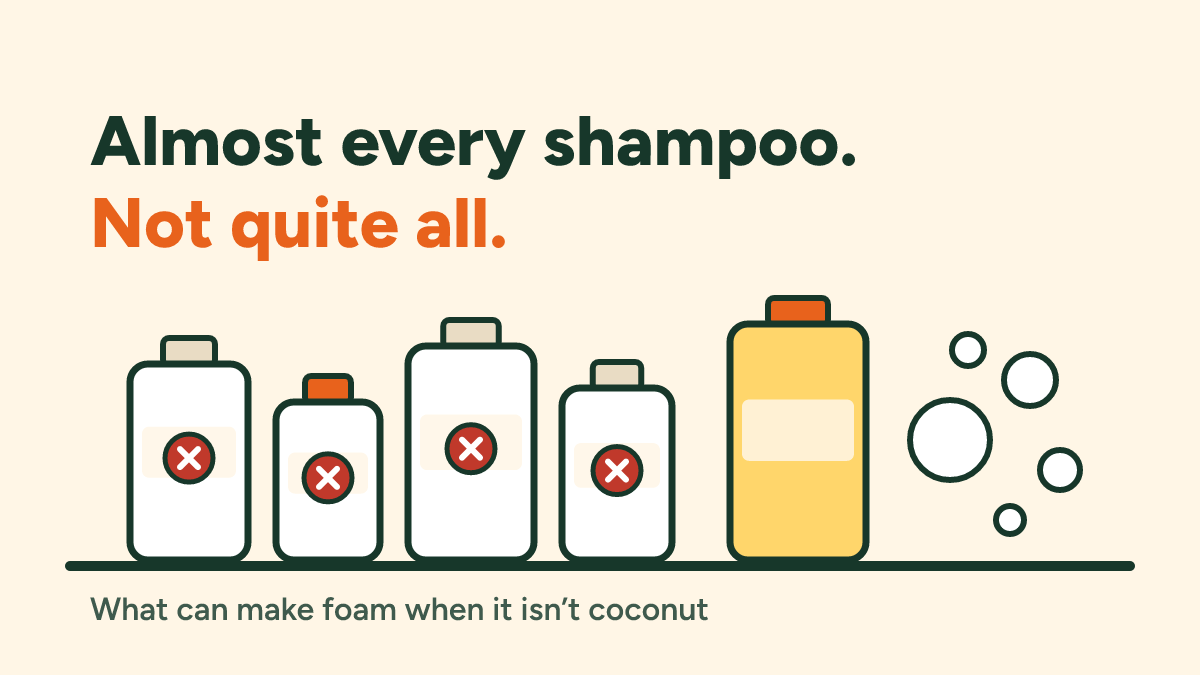 How to find a shampoo without coconut: what else can make foam